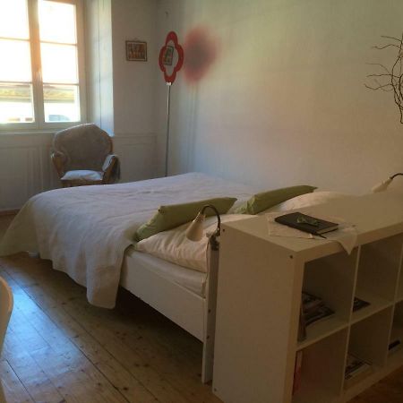 Zum Gruenen Lindenbaum Z5B Apartment Konstanz Ngoại thất bức ảnh