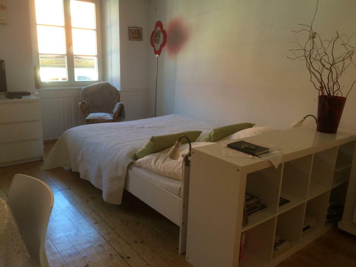 Zum Gruenen Lindenbaum Z5B Apartment Konstanz Ngoại thất bức ảnh